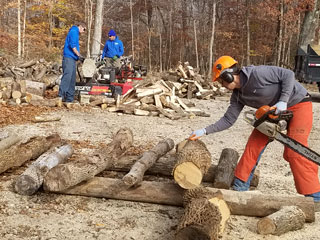 Cutting Firewood Cutting Firewood