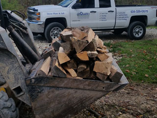 Firewood Firewood