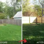 Before and After Fence Upgrade