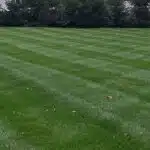 Landscape Lawn Treatment