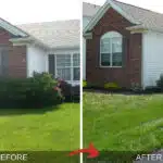 Before and After Landscaping