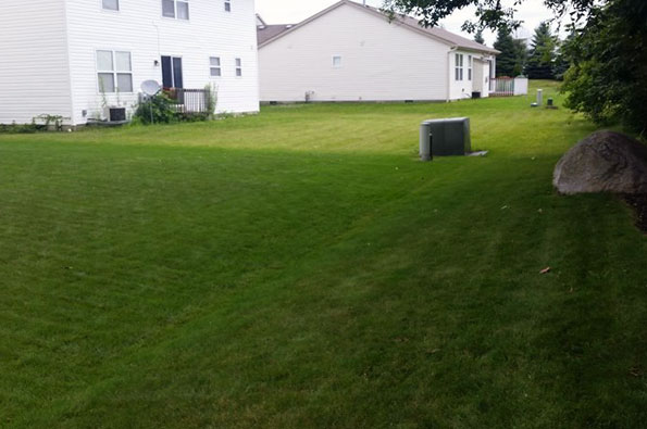 Clean Cut Lawn Clean Cut Lawn