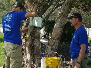 Ash Borer Control Team Ash Borer Control Team