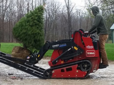 Landscaping with Trees