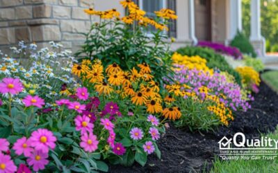 Preparing Your Garden for Late Summer Blooms