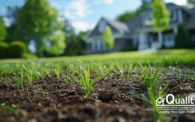 Fall is the Best Time for Lawn Seeding