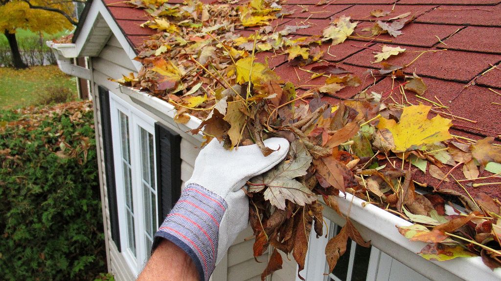 Gutter Cleaning for Winter Prep