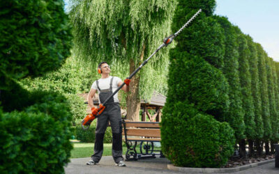 Landscape Renovation: Transform Your Tired Yard Into a Central Ohio Showpiece