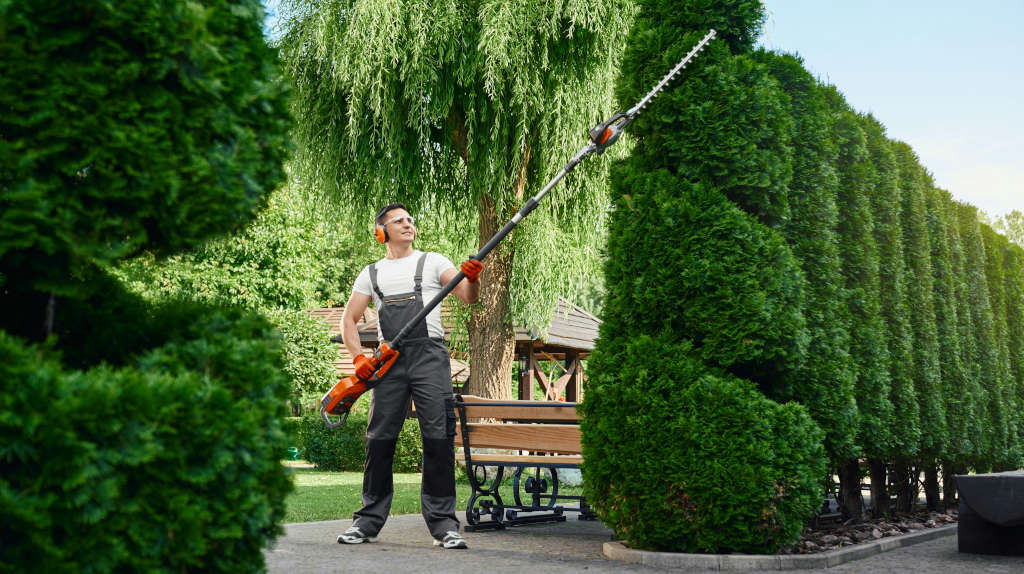 Landscaping | Quality Yard and Home Maintenance
