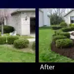 Before and After Yard Update