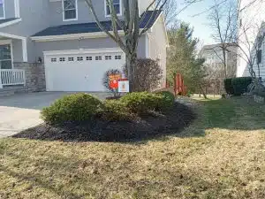 landscaping with shrubbery