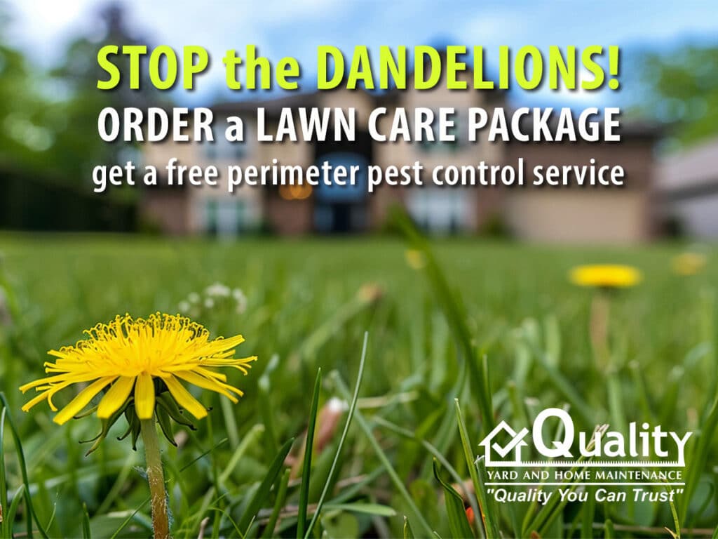 Claim your free Perimeter Pest Control Service with purchase of any Lawn Care package