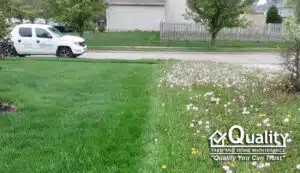 Effective Lawn Care, Fertilizer and Weed Control Services: Banishing Weeds for a Beautiful Lawn