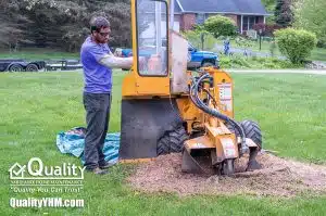 Stump Grinding: Clearing Your Landscape