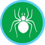 PEST CONTROL for spiders