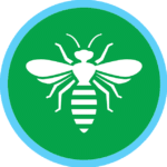 Pest control for stinging insects