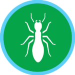 Pest control for termites