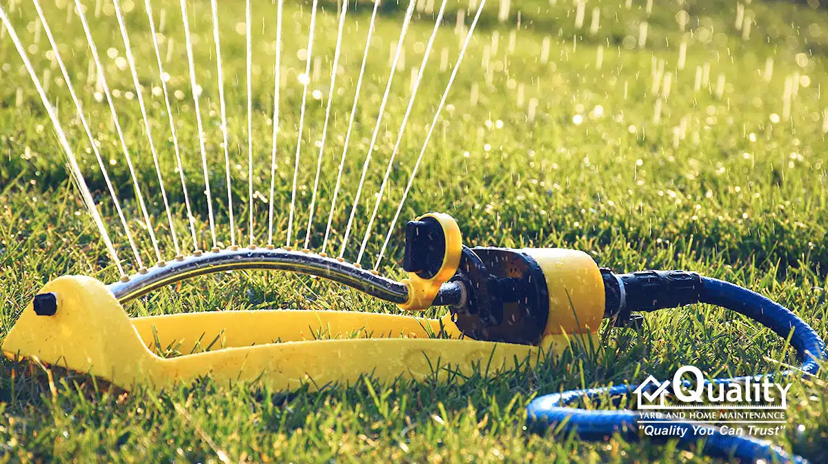 Proper watering is crucial to maintaining a healthy lawn.