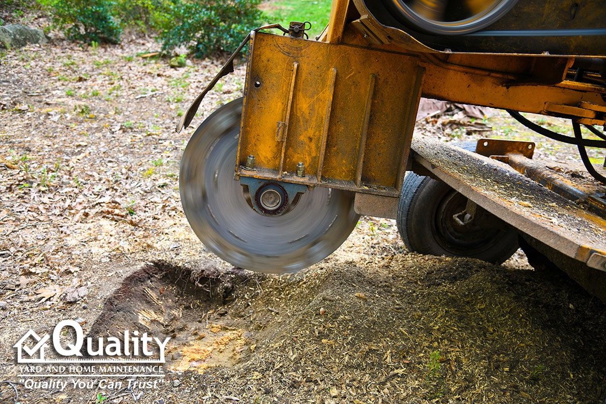 Central Ohio's most reliable stump removal and stump grinding service