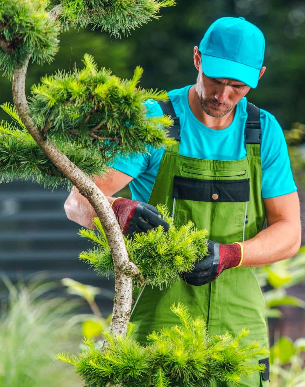 Why do business with Quality Yard & Home Maintenance?
